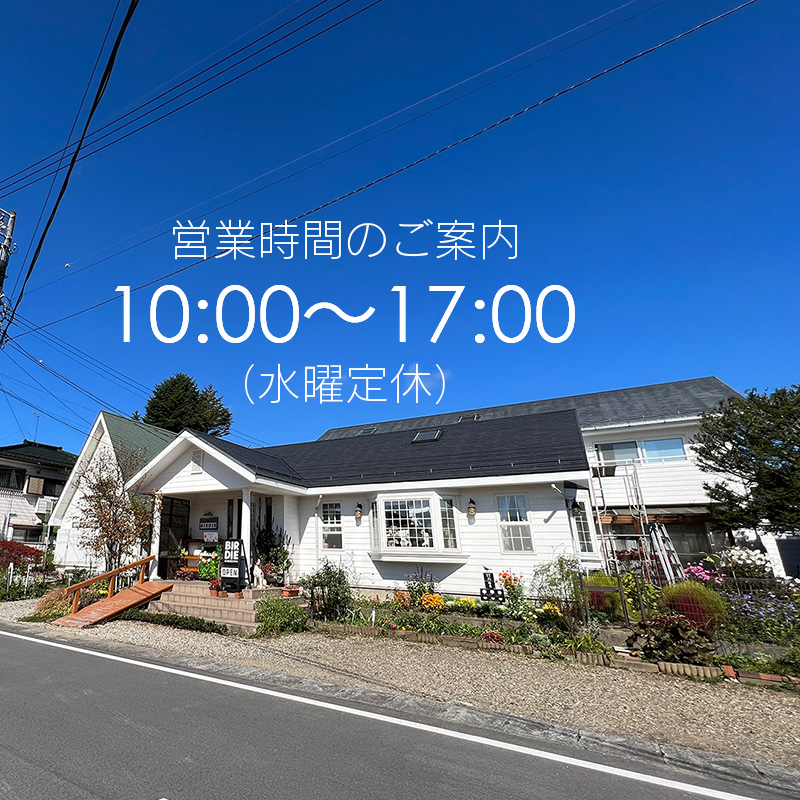 軽井沢BIRDIE通常営業時間