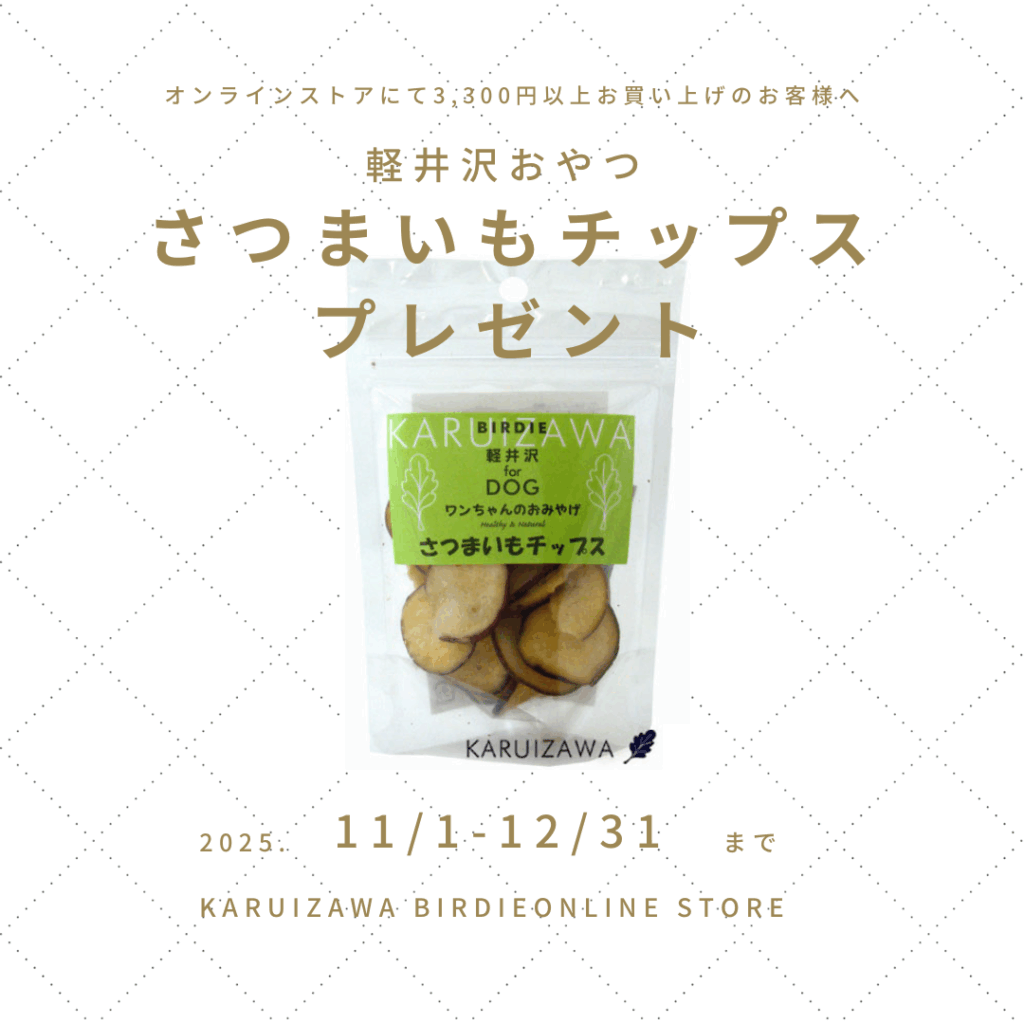 オンラインストアで3300円お買い上げのお客様へ「さつまいもチップス」プレゼント