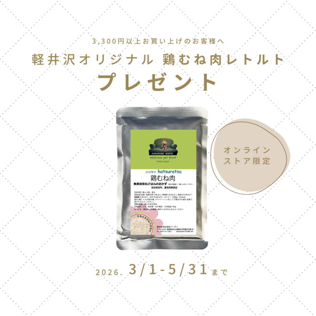 オンラインストア限定プレゼント